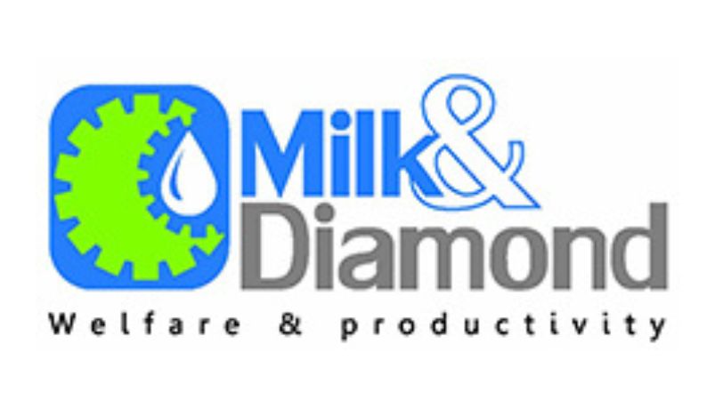 Milk Diamond